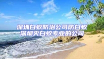 深圳白蚁防治公司防白蚁深圳灭白蚁专业的公司