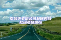 南昌灭老鼠公司教你如何杜绝老鼠烦恼