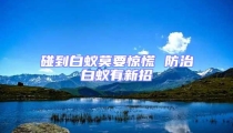 碰到白蚁莫要惊慌 防治白蚁有新招