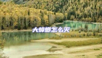 大蟑螂怎么灭