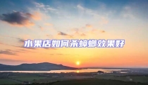 水果店如何杀蟑螂效果好