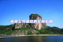 杀虫公司是您的左膀右臂