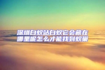 深圳白蚁站白蚁它会藏在哪里呢怎么才能找到蚁巢
