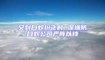 又到白蚁纷飞时 深圳防白蚁公司严阵以待