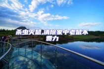 杀虫灭鼠,清除家中老鼠不费力