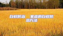白蚁防治  家庭的白蚁防治方法