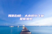 预防白蚁：大水蚁纷飞就是繁殖蚁