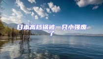 日本高档锅被一只小强废了