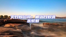 灭白蚁公司:根治白蚁诱杀蚁群