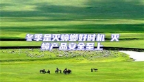 冬季是灭蟑螂好时机 灭蟑产品安全至上