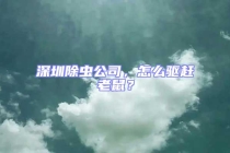 深圳除虫公司，怎么驱赶老鼠？