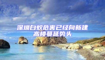 深圳白蚁危害已经向新建高楼蔓延势头
