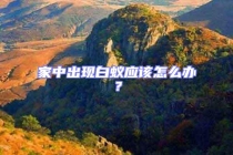 家中出现白蚁应该怎么办？