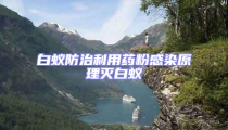白蚁防治利用药粉感染原理灭白蚁
