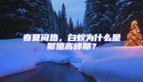 春夏闷热，白蚁为什么是繁殖高峰期？