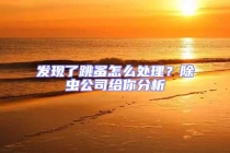 发现了跳蚤怎么处理？除虫公司给你分析