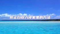 防止白蚁入侵家里的方法