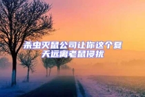 杀虫灭鼠公司让你这个夏天远离老鼠侵扰