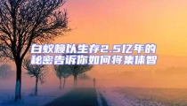 白蚁赖以生存2.5亿年的秘密告诉你如何将集体智