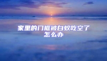 家里的门框被白蚁吃空了怎么办