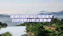 深圳白蚁防治公司深圳灭白蚁预防白蚁注意事项