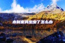 木制家具生虫了怎么办