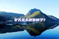 冬天怎么还有蚊子？