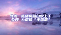 北海一栋楼房藏白蚁上千公斤 九层楼“全覆盖”