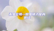 杀虫公司--蚊虫侵入室内途径
