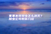 家里发现臭虫怎么消灭？除虫公司教你几招