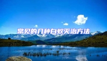 常见的几种白蚁灭治方法