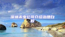 深圳杀虫公司介绍治理白蚁