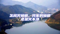 怎样灭蟑螂,我家的蟑螂老是灭不净