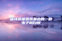 破坏房屋建筑最凶的一种虫子叫白蚁