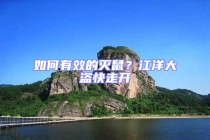 如何有效的灭鼠？江洋大盗快走开