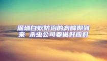 深圳白蚁防治的高峰期到来 杀虫公司要做好应对