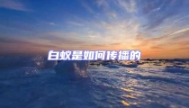 白蚁是如何传播的