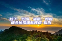 蚊子、苍蝇、老鼠、蟑螂都会传播哪些疾病-均治