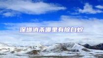 深圳消杀哪里有除白蚁