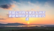 灭鼠公司教大家怎么消灭老鼠和预防老鼠的最佳方法
