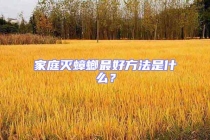 家庭灭蟑螂最好方法是什么？