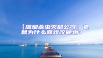【深圳杀虫灭鼠公司】老鼠为什么喜欢咬硬物?