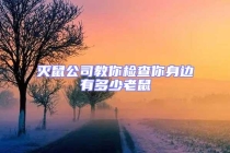 灭鼠公司教你检查你身边有多少老鼠