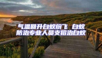 气温回升白蚁纷飞 白蚁防治专业人员支招治白蚁