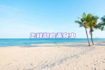 怎样彻底杀臭虫