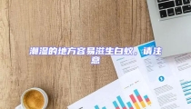 潮湿的地方容易滋生白蚁,请注意