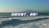 白蚁又来了,点算?