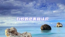 白蚁的危害和认识