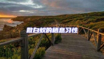 散白蚁的栖息习性
