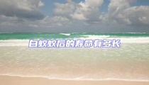 白蚁蚁后的寿命有多长
